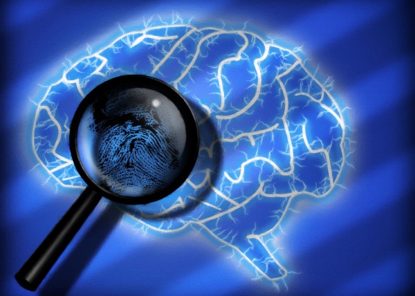 Human Brain by Bruce Rolff